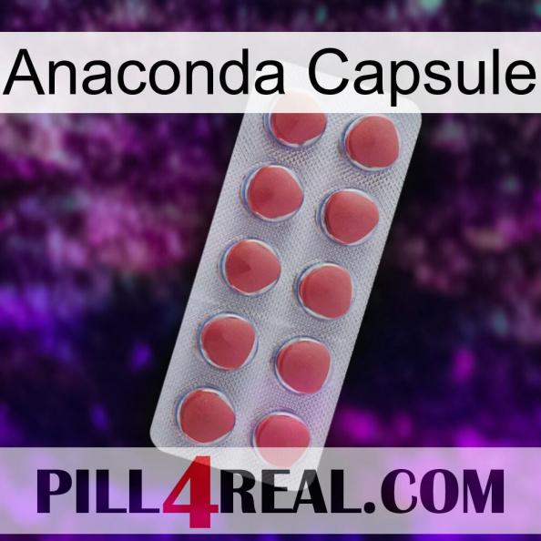 Anaconda Capsule 18.jpg